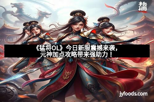 《猛将OL》今日新服震撼来袭，元神加点攻略带来强助力！